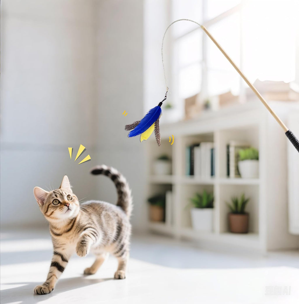 AINTE interactive pet wand attachments spread out on clean surface