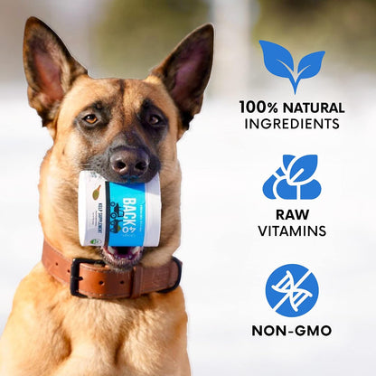 Back 40 Dogs organic kelp powder packaging size reference