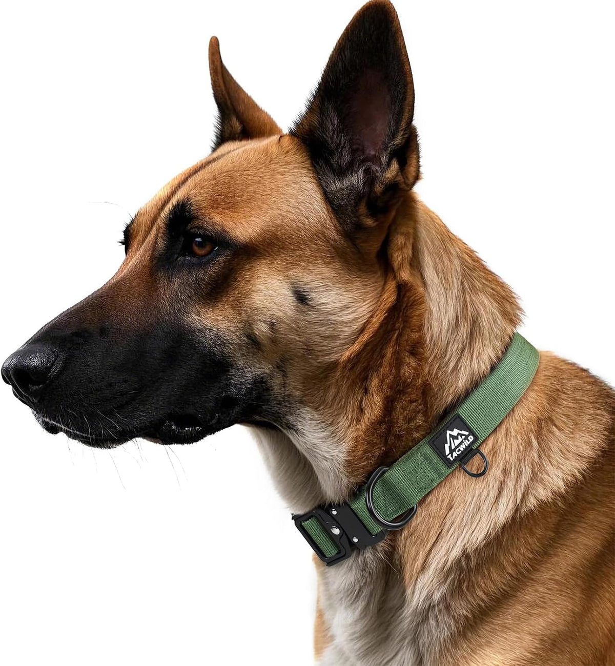 Tacwild heavy duty collar D-ring for leash attachment