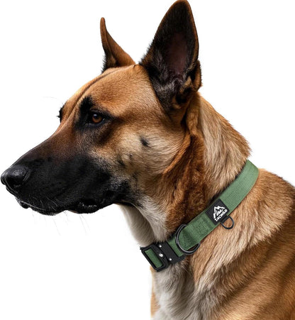 Tacwild heavy duty collar D-ring for leash attachment