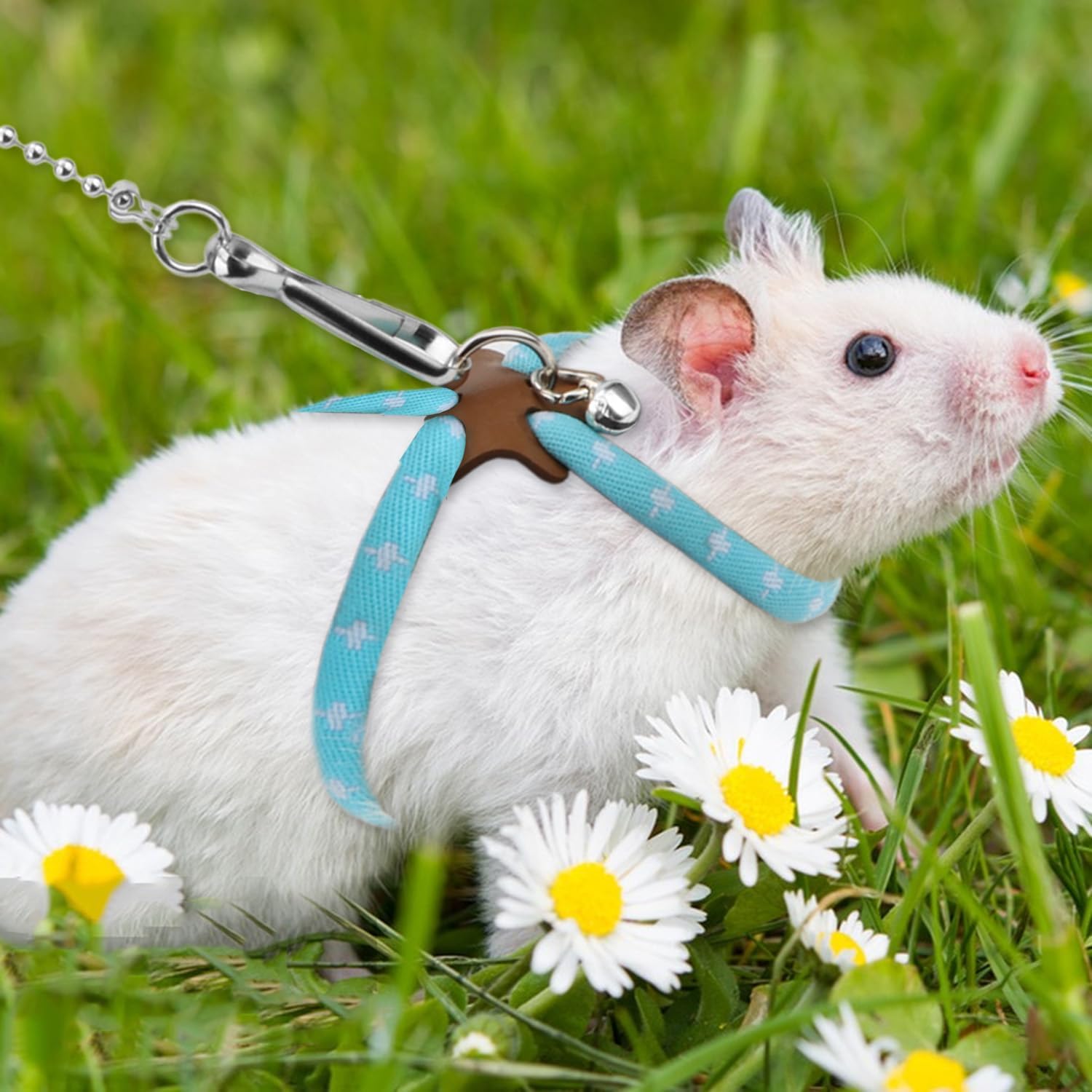 Side angle of Hypeety small animal safety vest and leash combo