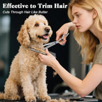 Agirav pet grooming scissors showing safety round tips