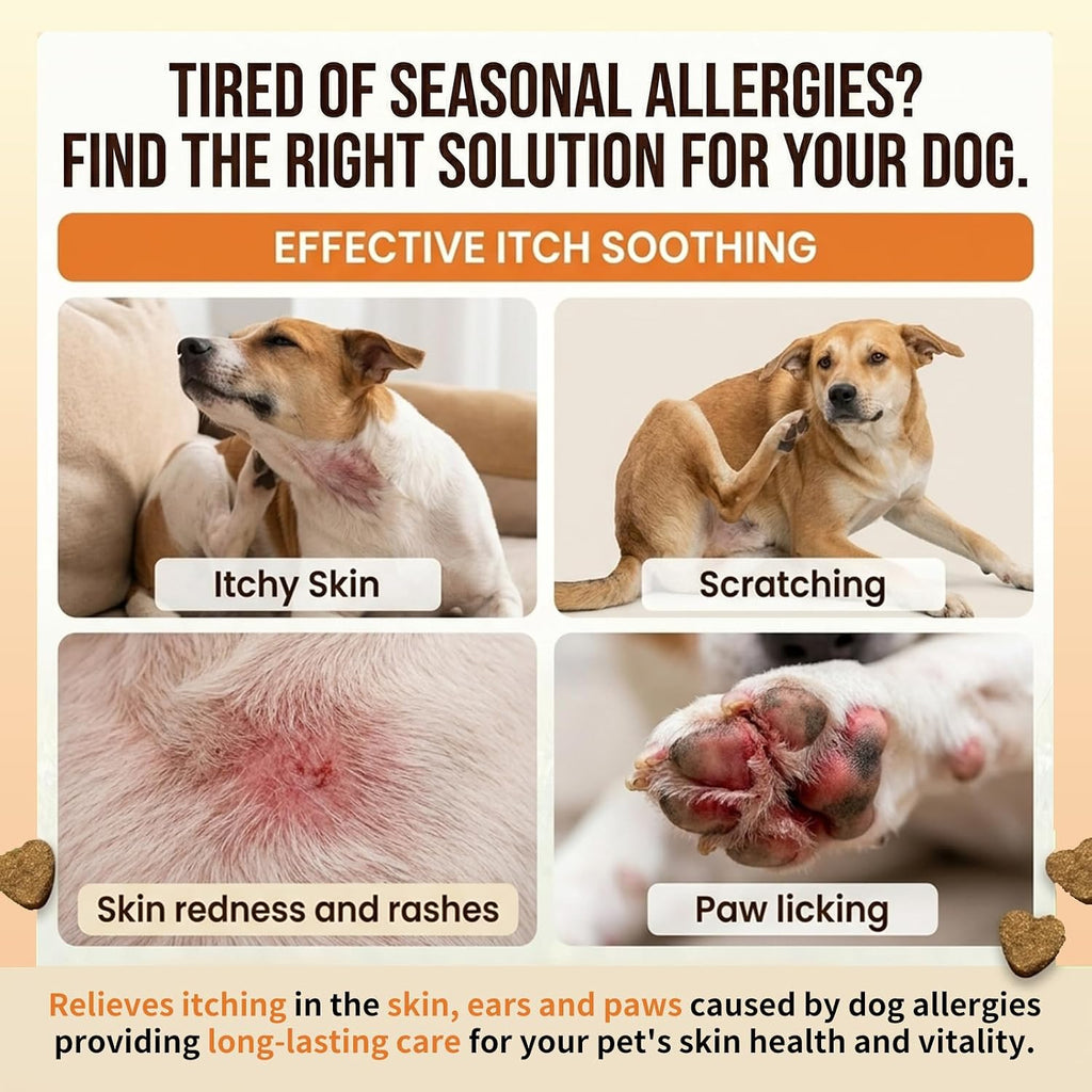 Beef flavored allergy chewable supplements for seasonal dog allergy defense