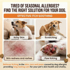 Beef flavored allergy chewable supplements for seasonal dog allergy defense