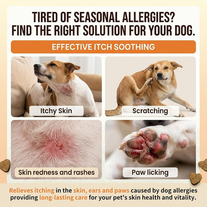Beef flavored allergy chewable supplements for seasonal dog allergy defense