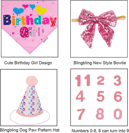 ADOGGYGO high quality imported dog birthday supplies packaging details