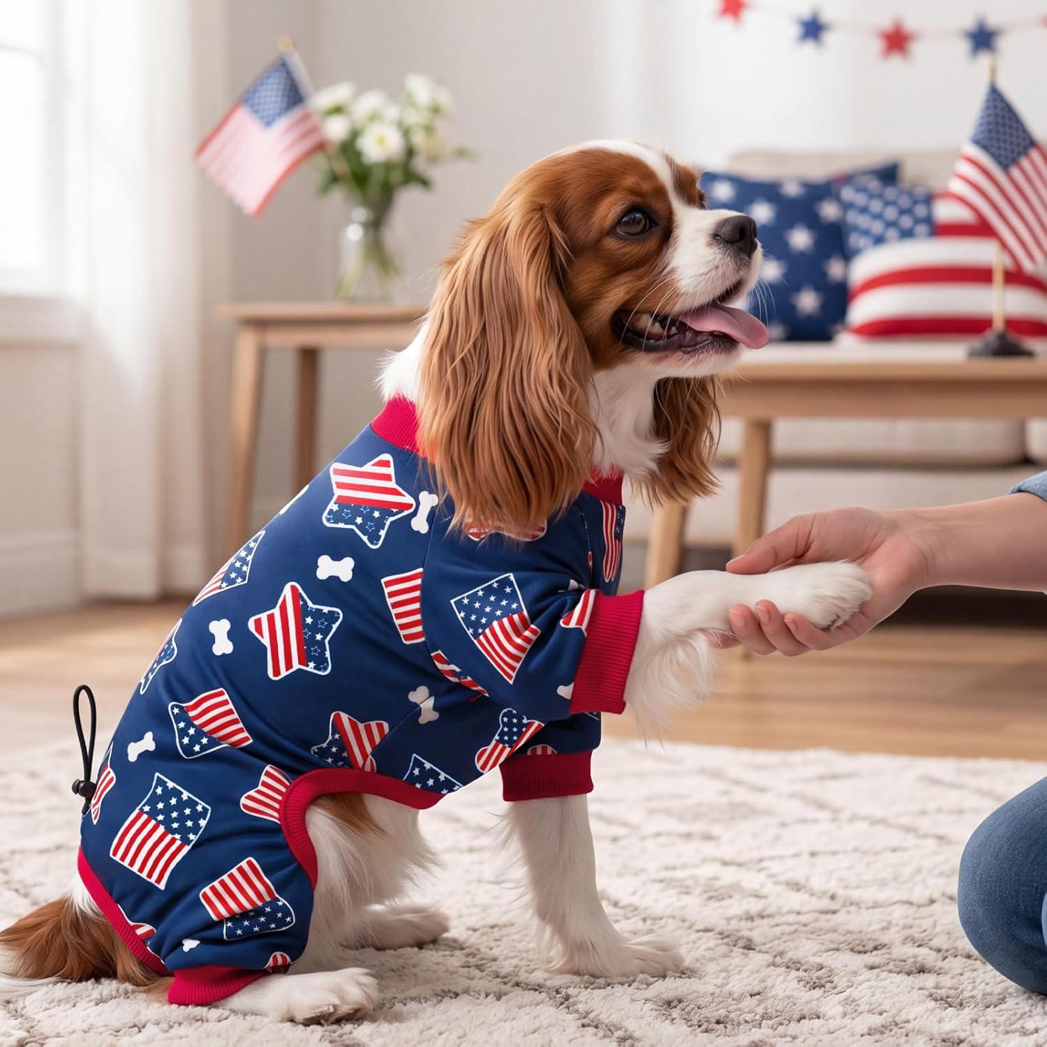 American flag pet outfit for small medium dogs flat lay image