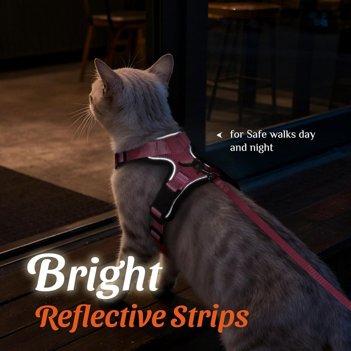 Quick-release buckle and secure fastening mechanism on the Dooradar kitten vest