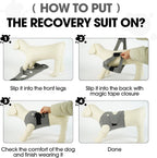 Packaging and product label of Brkurleg dog recovery vest