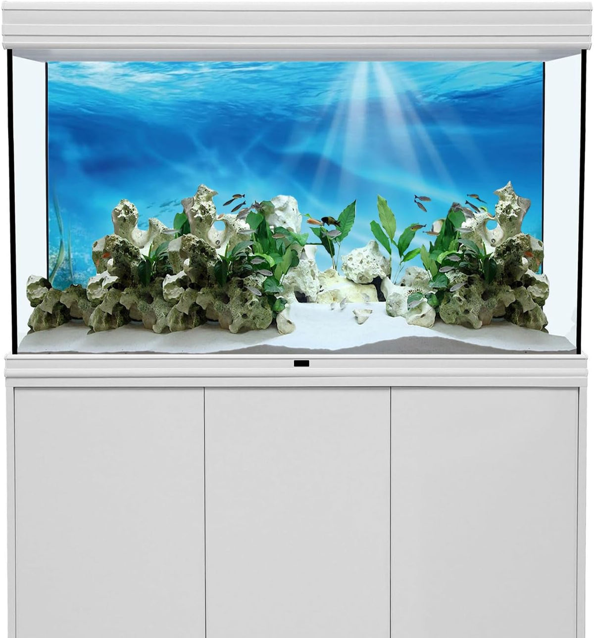 AWERT Undersea aquarium background front view