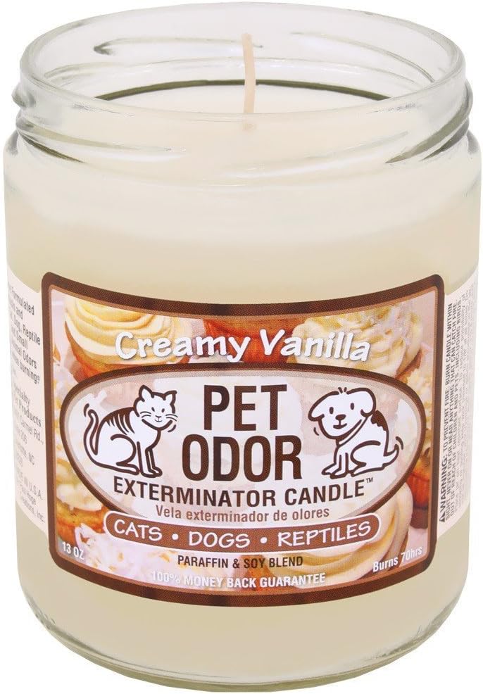 Enzyme-based pet odor eliminating candle in pineapple coconut scent