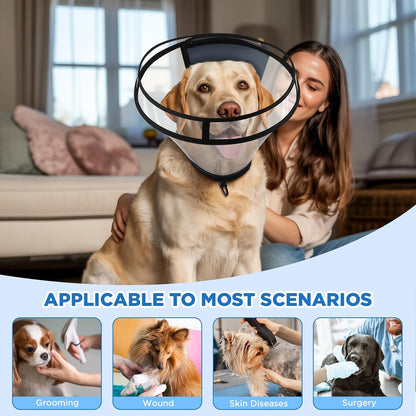 Bonthee XXL dog cone collar on a large dog