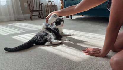 FurSo pet hair vacuum canister and filter design