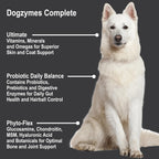 Dogzymes 1 pound powder jar for complete pet skin and gut care