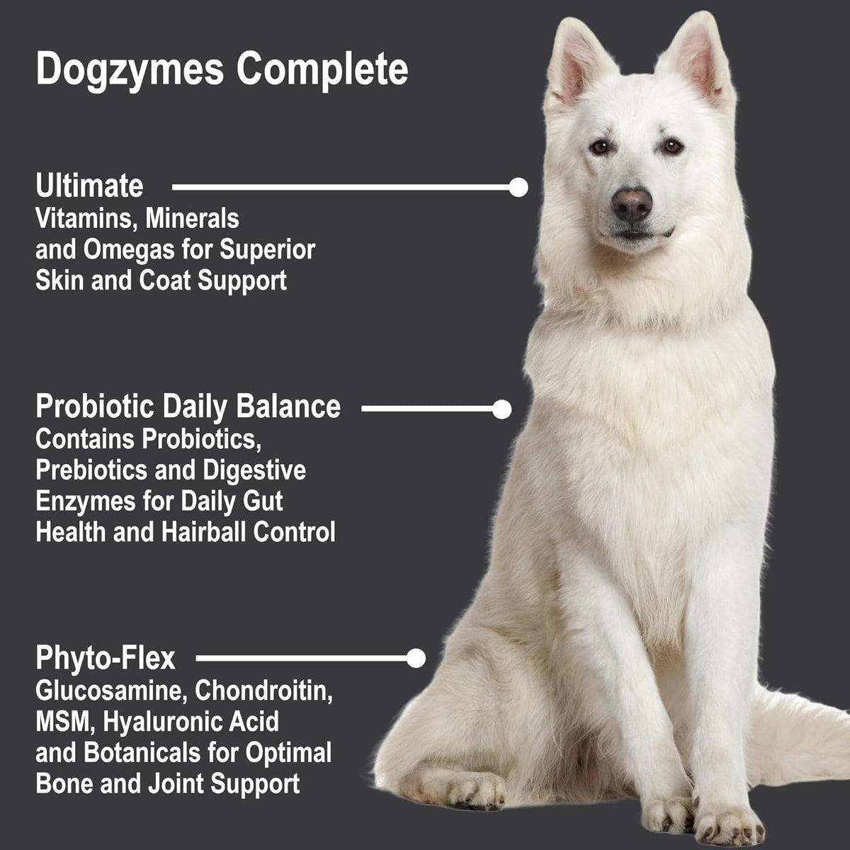 Dogzymes 1 pound powder jar for complete pet skin and gut care
