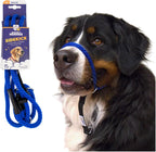 Heather's Heroes Sidekick Dog Headcollar with Leash - Sidekick Leash for Dogs, Effective Dog Training Tool for Leash Reactivity and Behavior Issues (Turquoise, Mini (1/4")) - Image 10