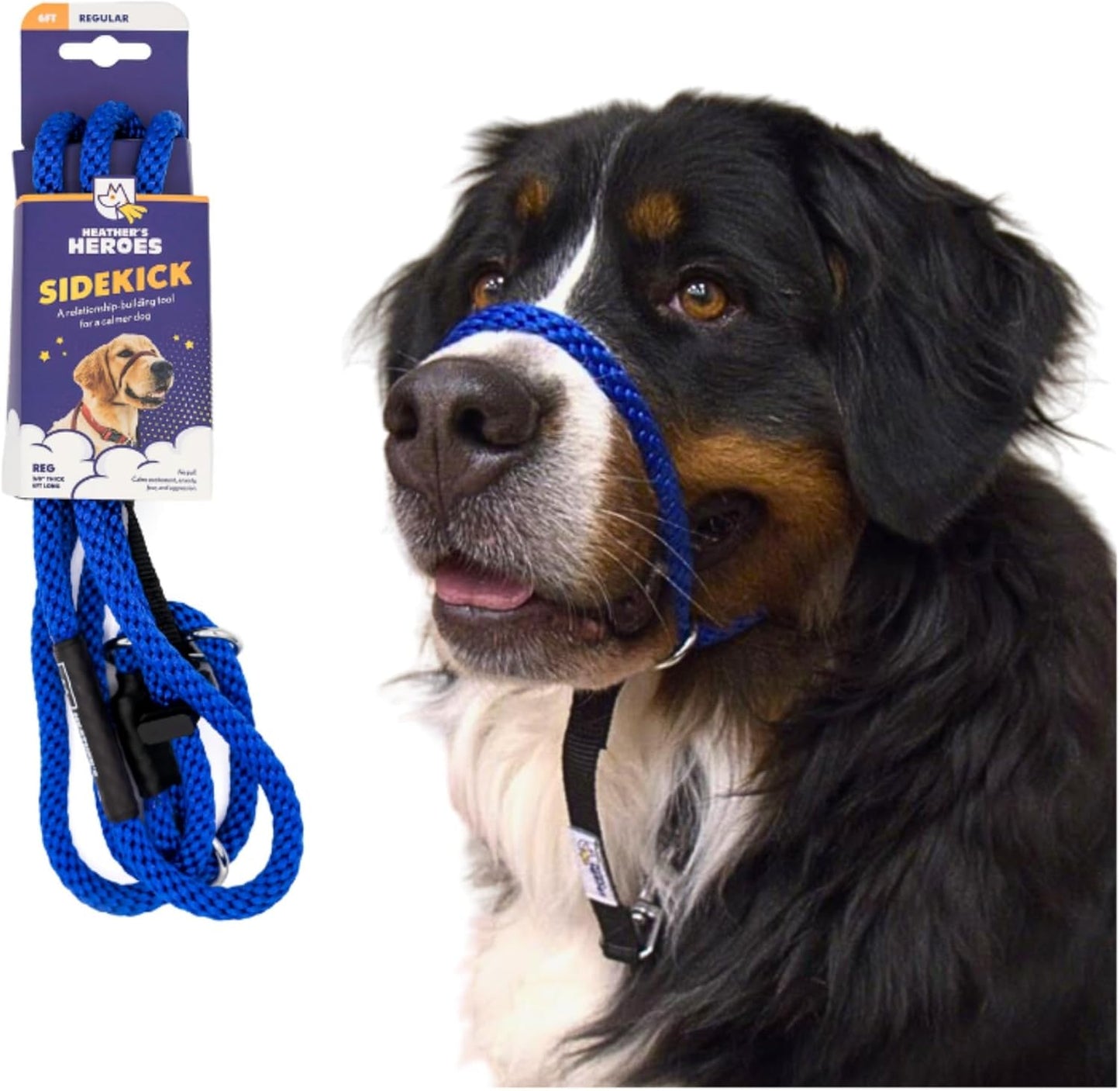 Heather's Heroes Sidekick Dog Headcollar with Leash - Sidekick Leash for Dogs, Effective Dog Training Tool for Leash Reactivity and Behavior Issues (Turquoise, Mini (1/4")) - Image 10