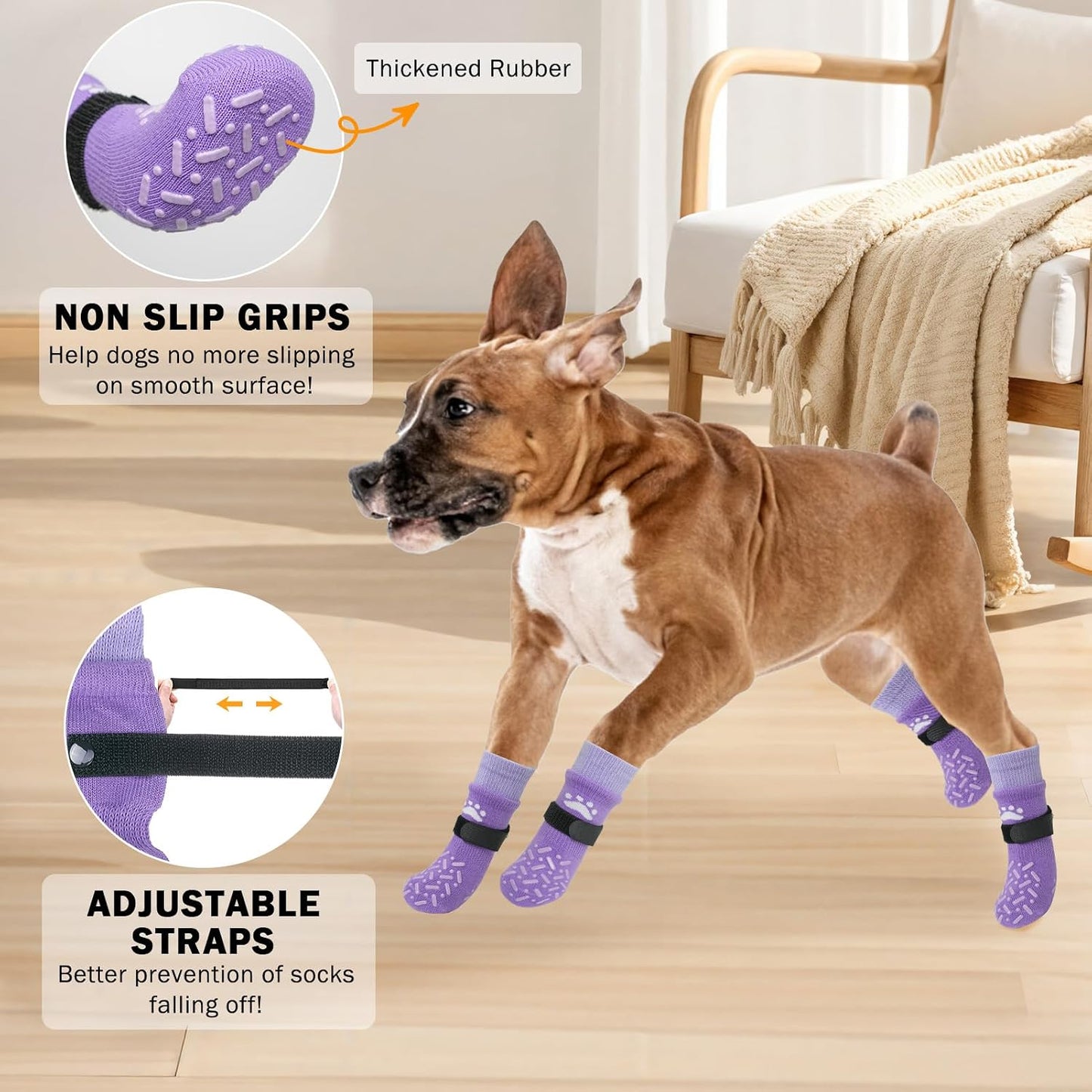 Small dog wearing Scenereal traction socks on hardwood floor
