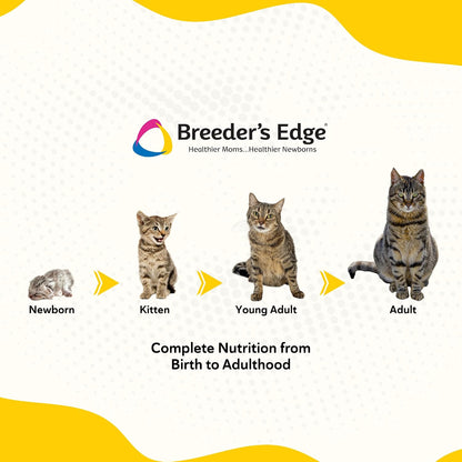 Breeder's Edge Foster Care Feline milk replacer for newborn kitten nursing