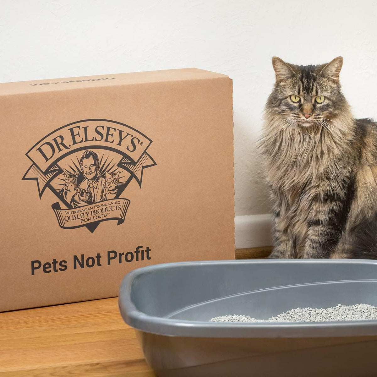 Premium 18 pound bag of Dr. Elsey's R&R respiratory relief cat litter
