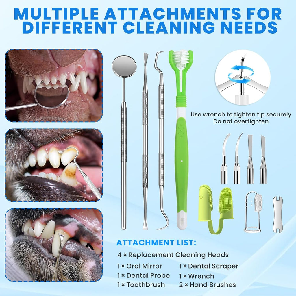 Handheld dog teeth cleaning kit in white finish
