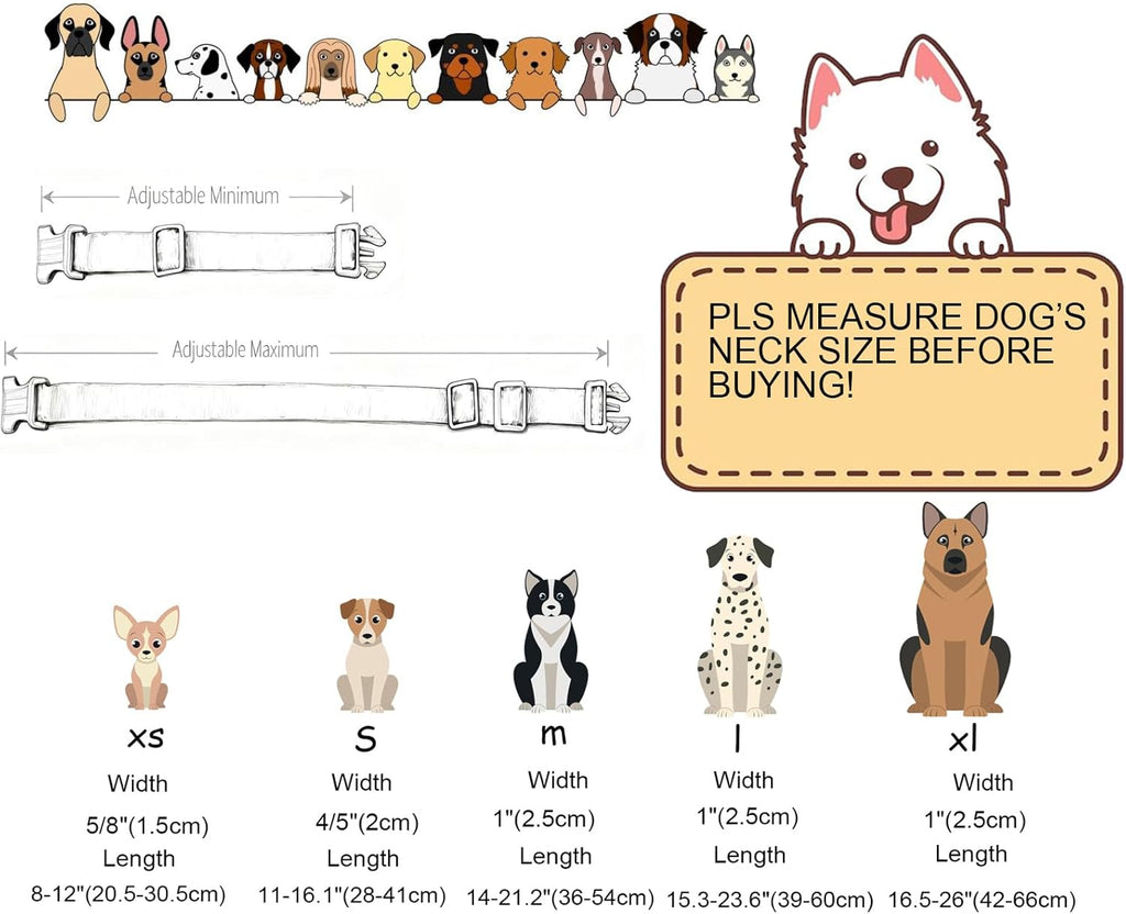 Dogwong girl dog collar with branded buckle detail