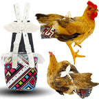 Revoloza reusable 3D chicken diaper front view