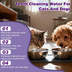 No brush dog dental cleaning solution bottle displayed against a clean background.