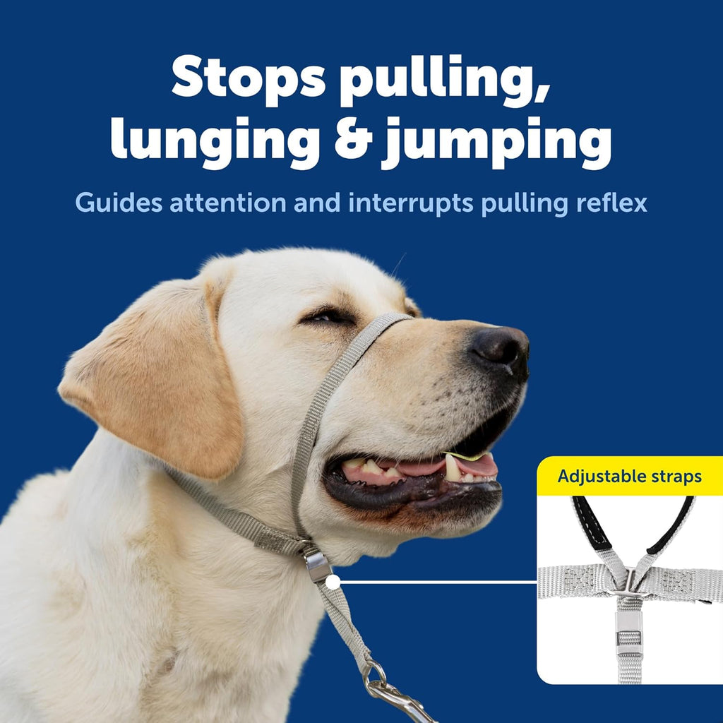 PetSafe Gentle Leader No-Pull Dog Headcollar - The Ultimate Solution to Pulling - Redirects Your Dog's Pulling for Easier Walks - Helps You Regain Control - Medium, Black - Image 3