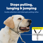 PetSafe Gentle Leader No-Pull Dog Headcollar - The Ultimate Solution to Pulling - Redirects Your Dog's Pulling for Easier Walks - Helps You Regain Control - Medium, Black - Image 3