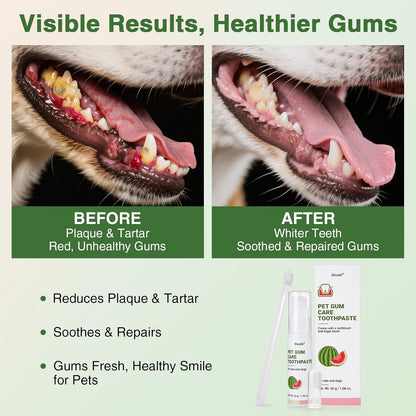 Oivolii non toxic pet toothpaste being applied to a brush for daily dog dental cleaning.