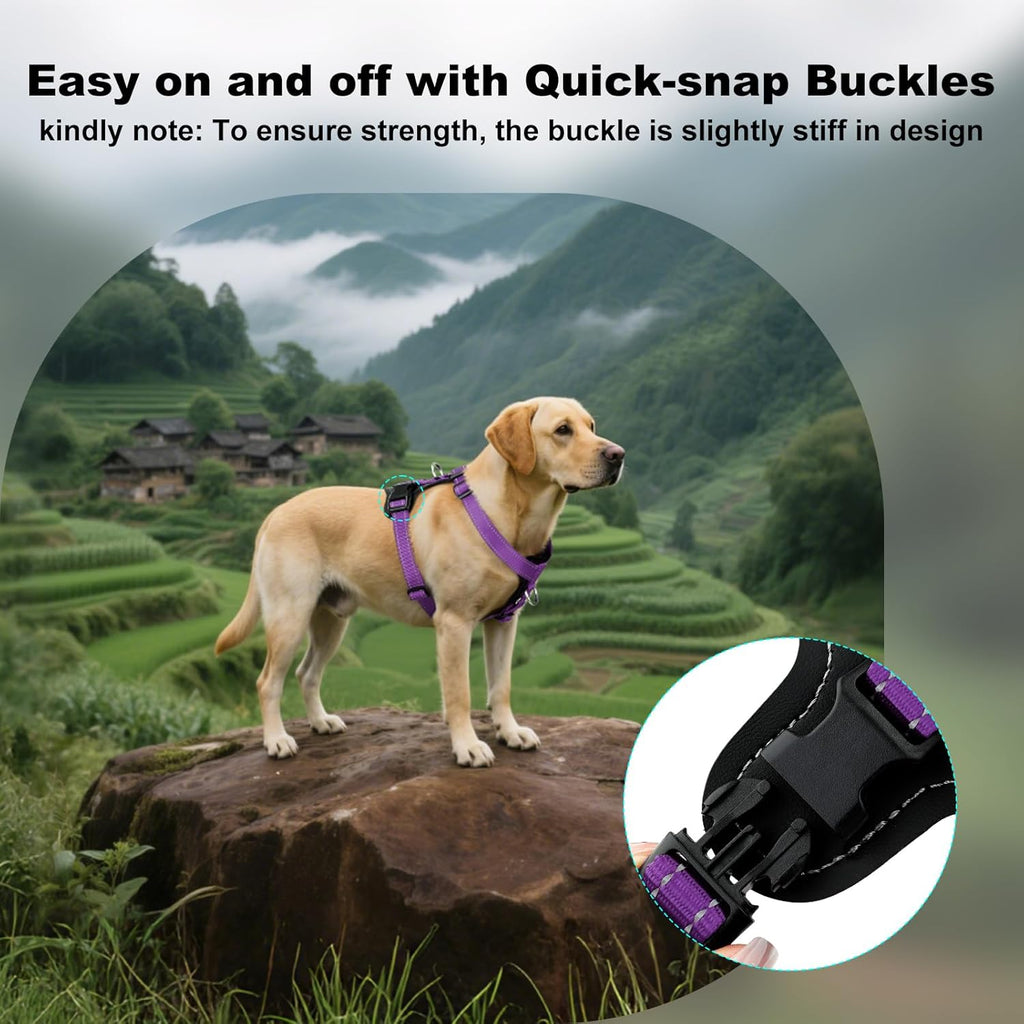 Plutus Pet adjustable no pull vest showcasing sophisticated leather trimmed panels