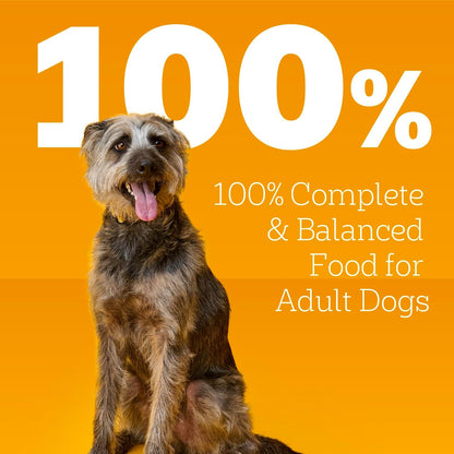 Pedigree small breed wet dog food cans showing ingredients list
