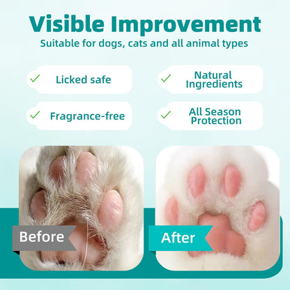 Applying Meduwedu paw pad protection cream on a dog paw