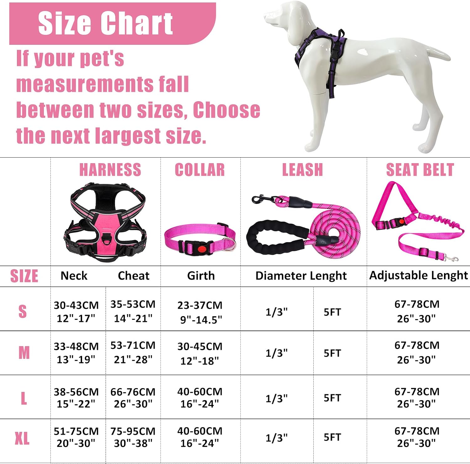 Durable nylon dog leash and collar set