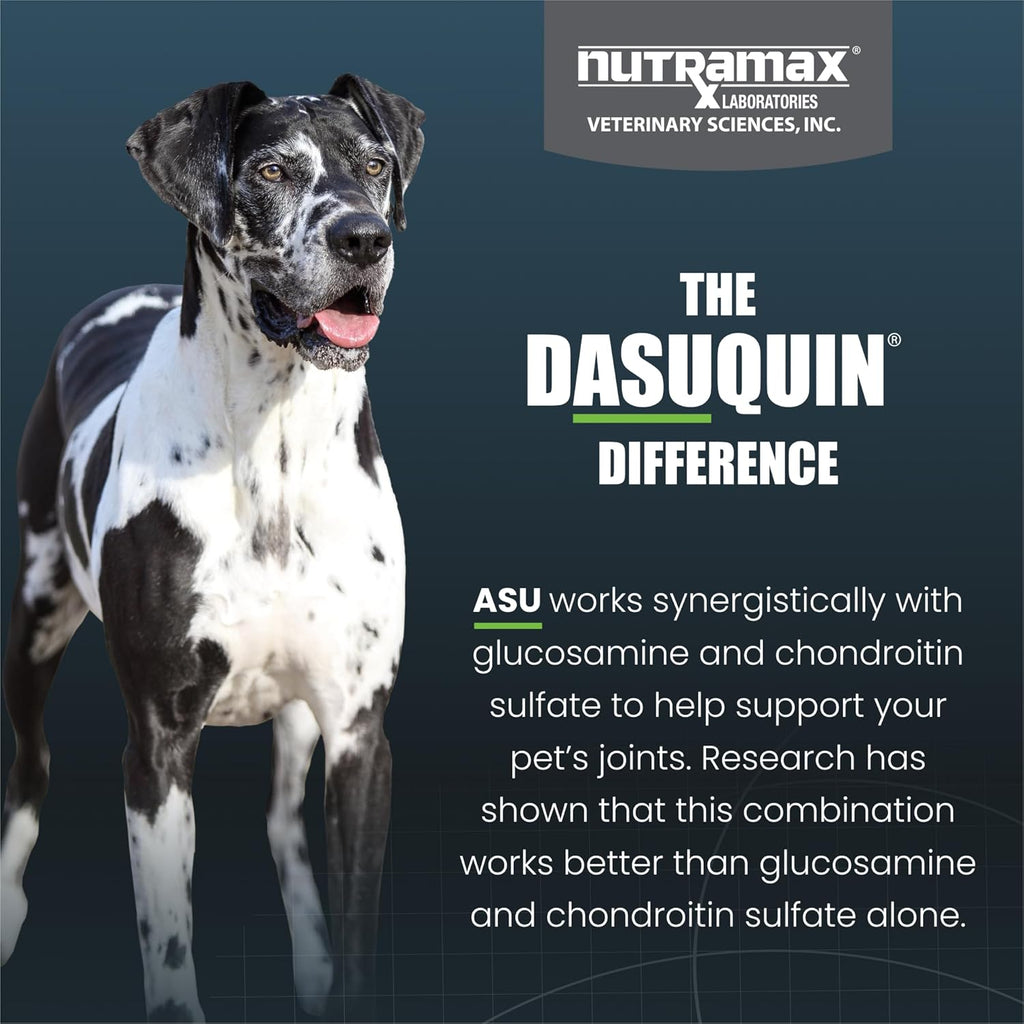 Nutramax Dasuquin feeding guide and dosage instructions panel