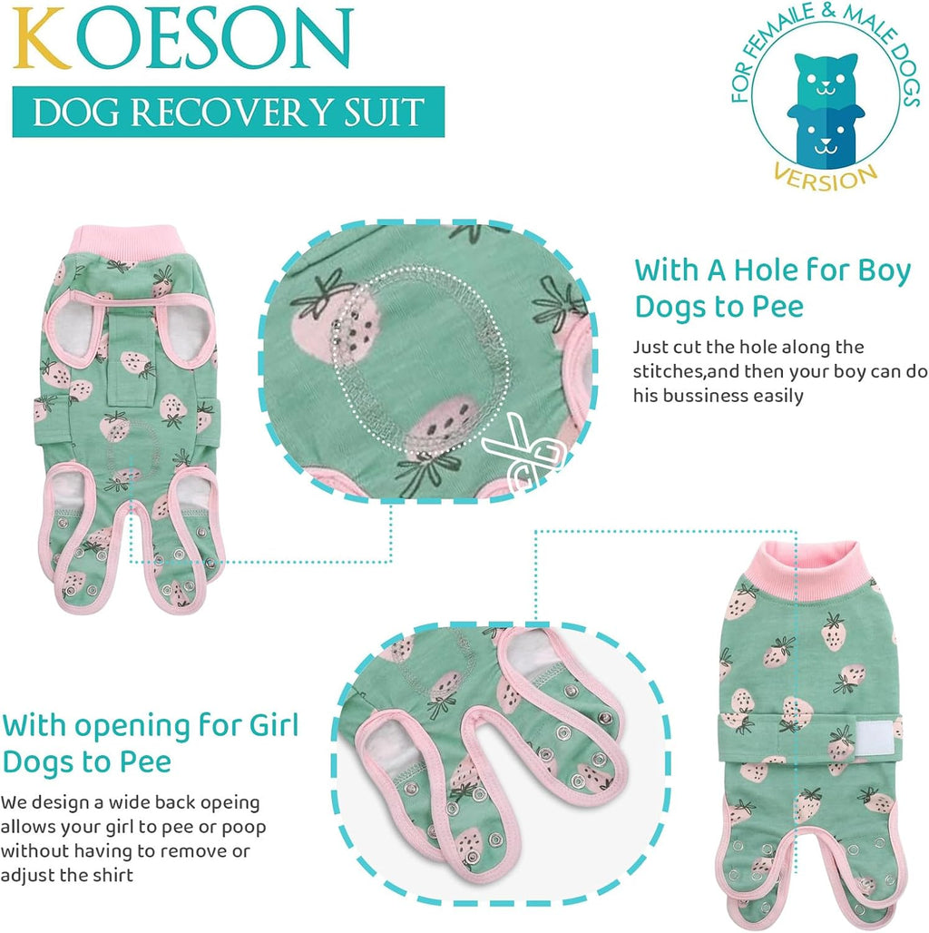 KOESON pet recovery clothing showing back snap button closures