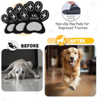 Dapaw senior dog paw grips on hardwood floor