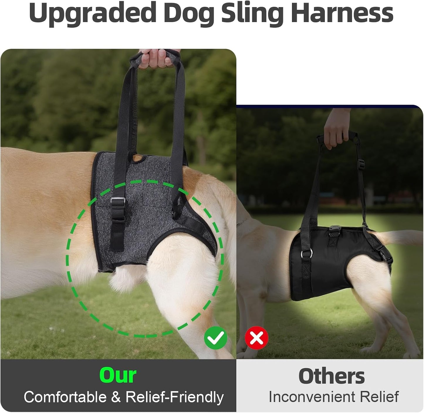 Dog wearing soft hind leg support harness