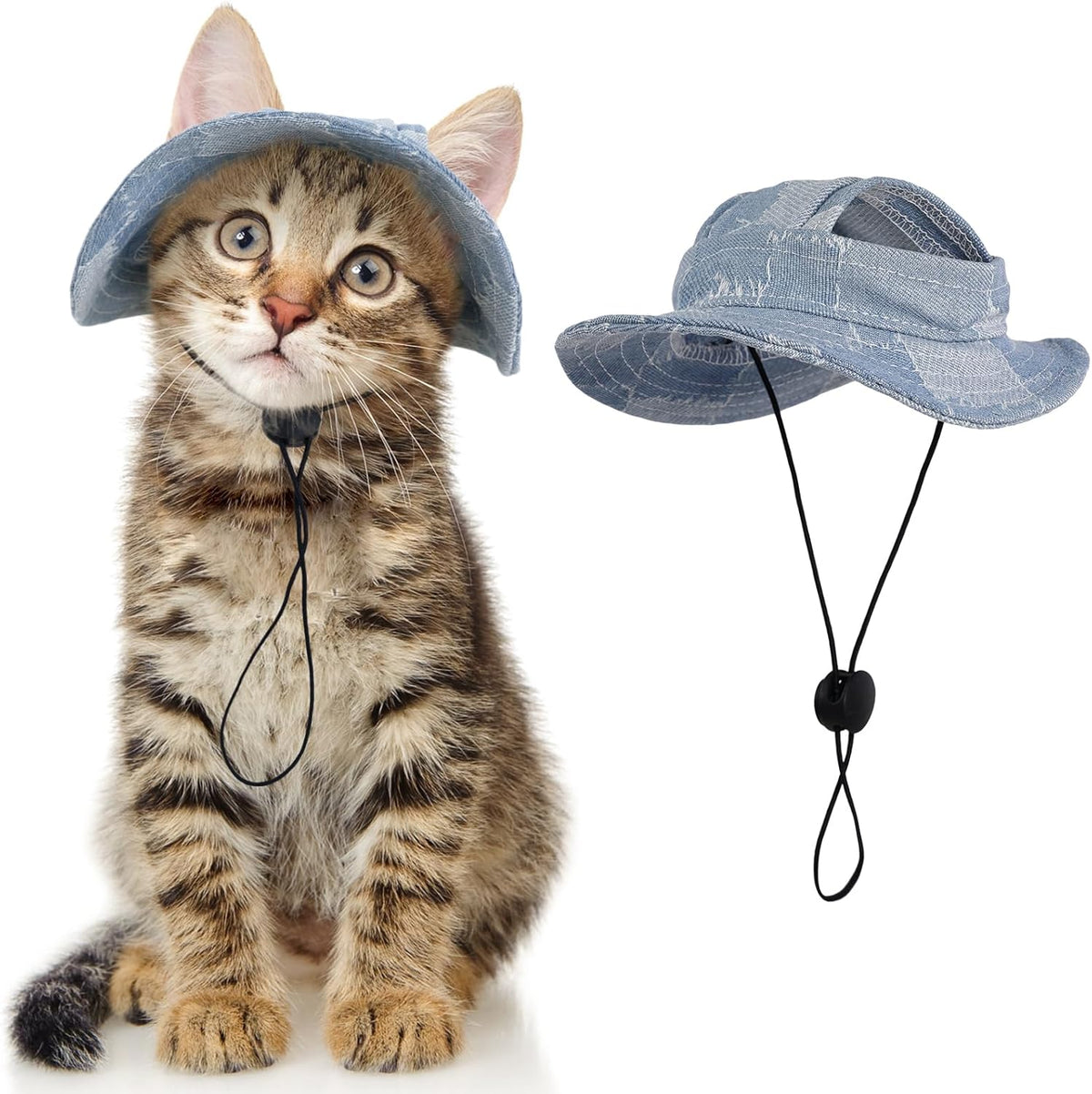 Dentrun cat bucket hat front view on a small cat