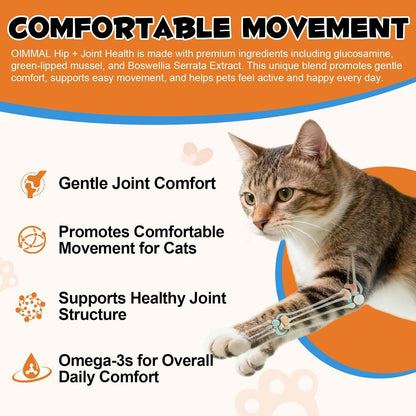 Alivo cat joint supplement texture and soft chew appearance