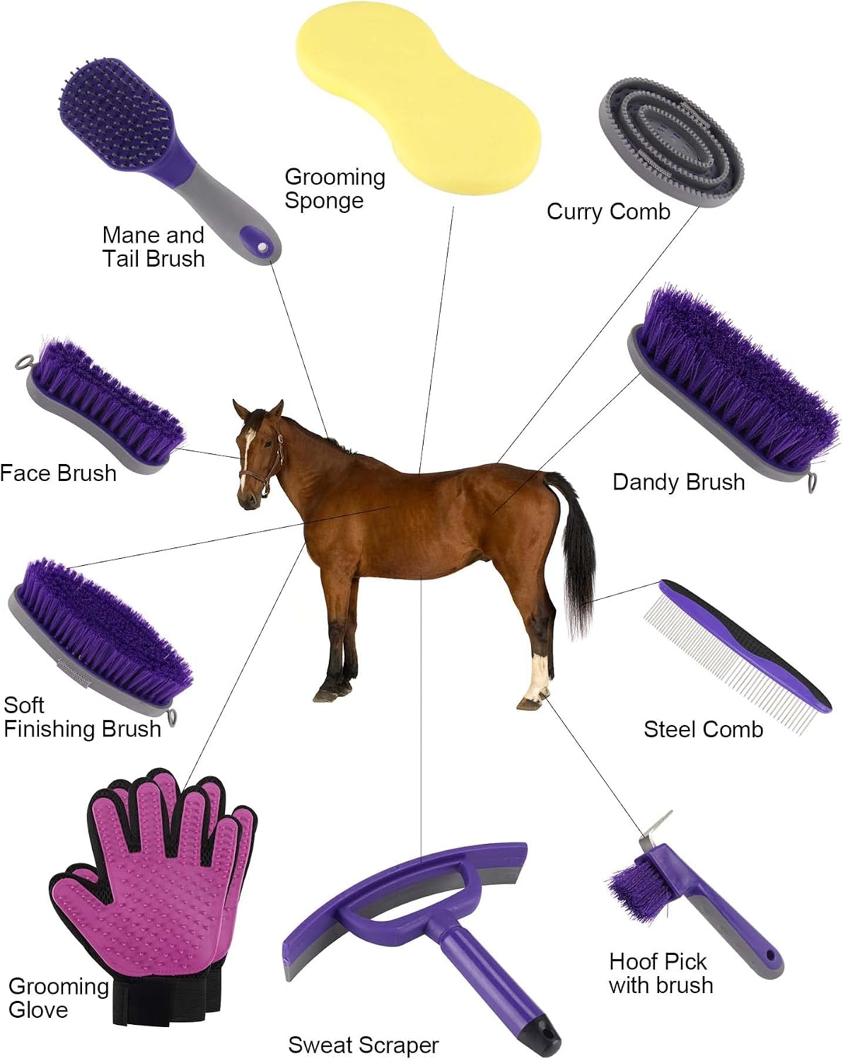 Close up of Ueemph horse grooming brushes and mane comb