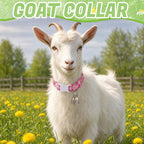 Authentic copper bronze livestock bells attached to a patterned sheep collar producing a loud sound for anti-lost animal tracking.