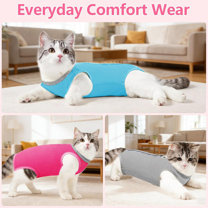 Cat comfortably resting in Coppthinktu neuter recovery suit