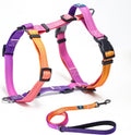 Roses&Poetry dog harness and leash set front view