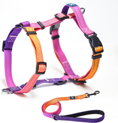 Roses&Poetry dog harness and leash set front view