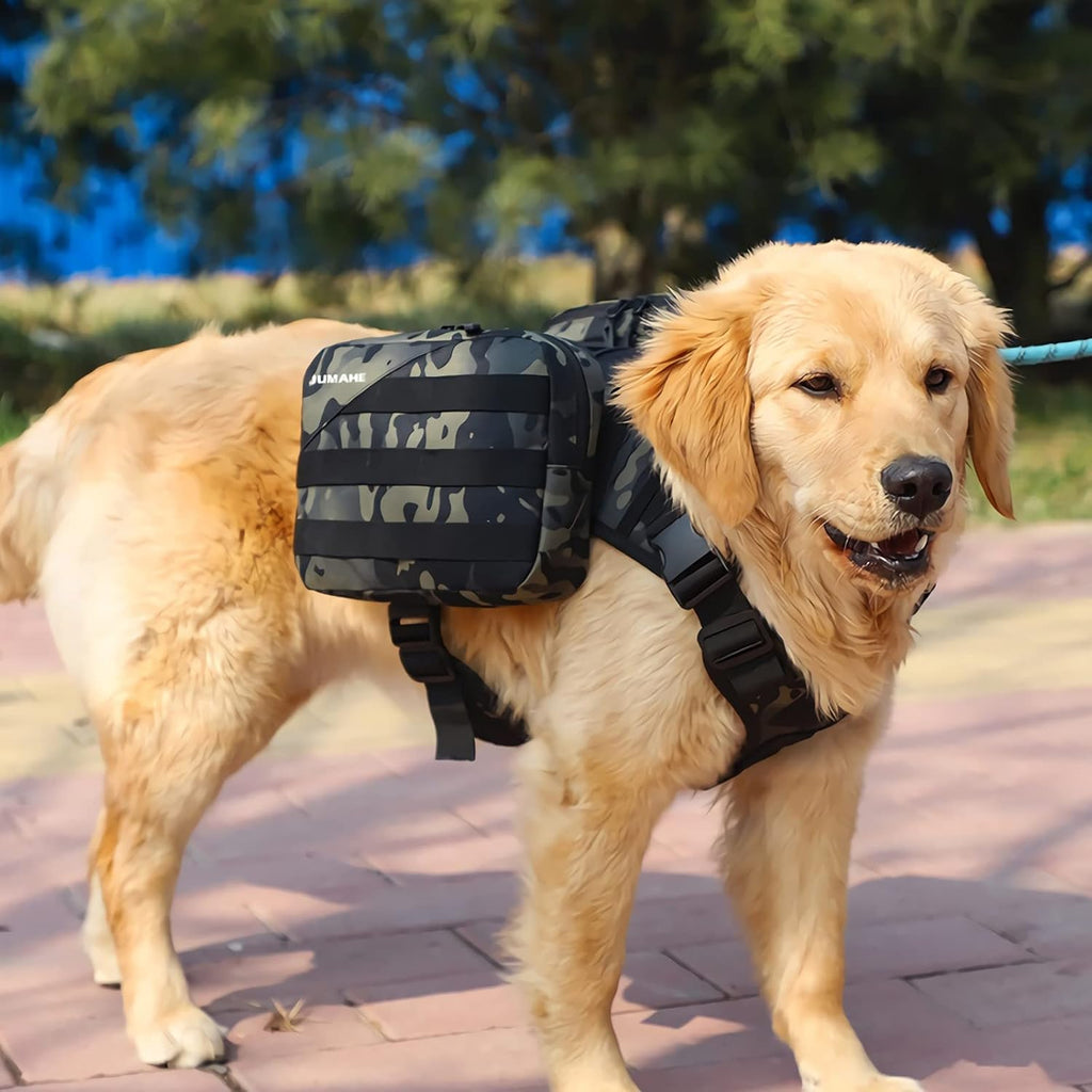 Large dog wearing the tactical hiking backpack on an outdoor camping trail