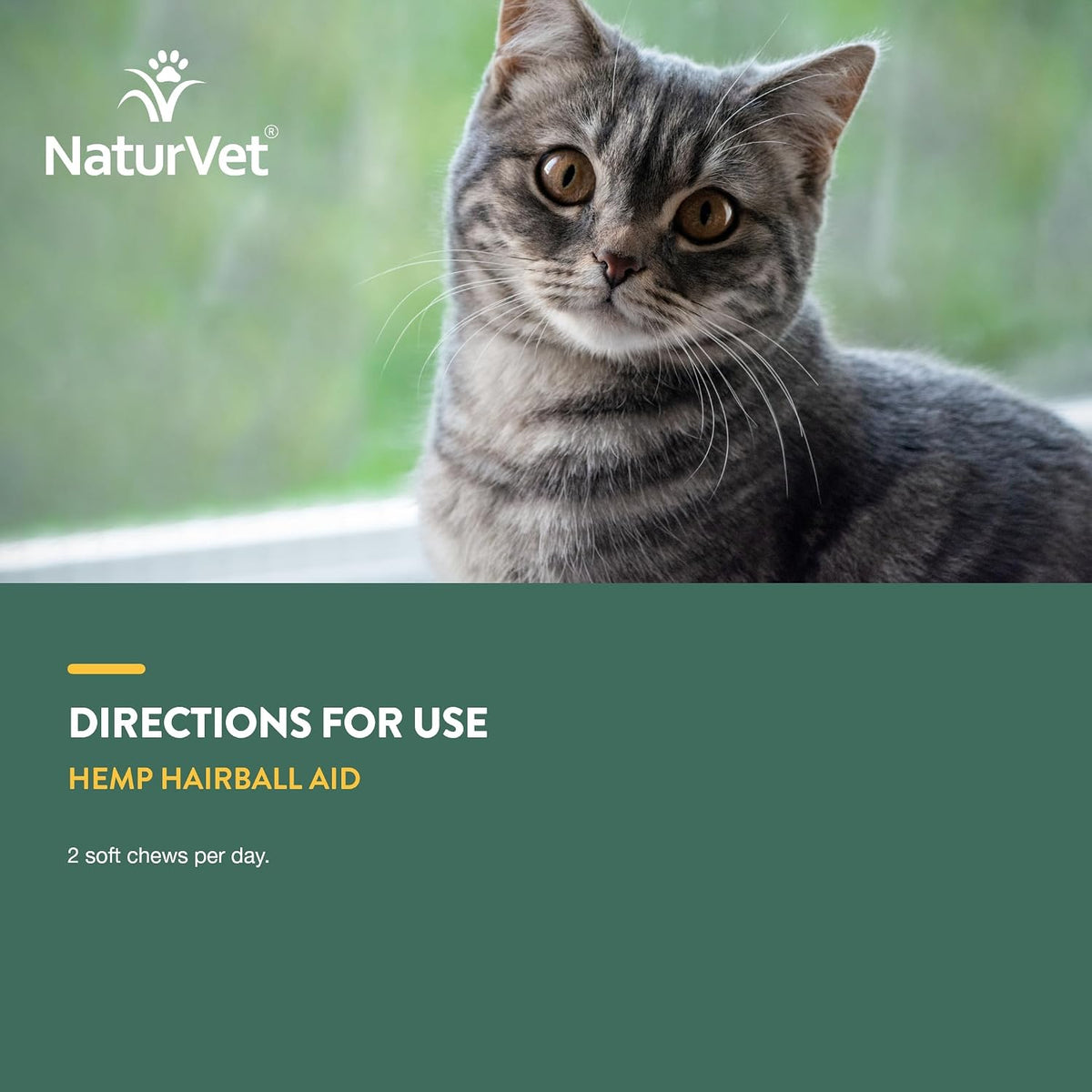NaturVet sixty count soft chews jar angled view