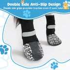Senior dog wearing size M bone pattern socks