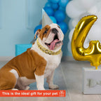 Packaging layout of the two piece Hicarer gold plated plastic chain jewelry for small dogs